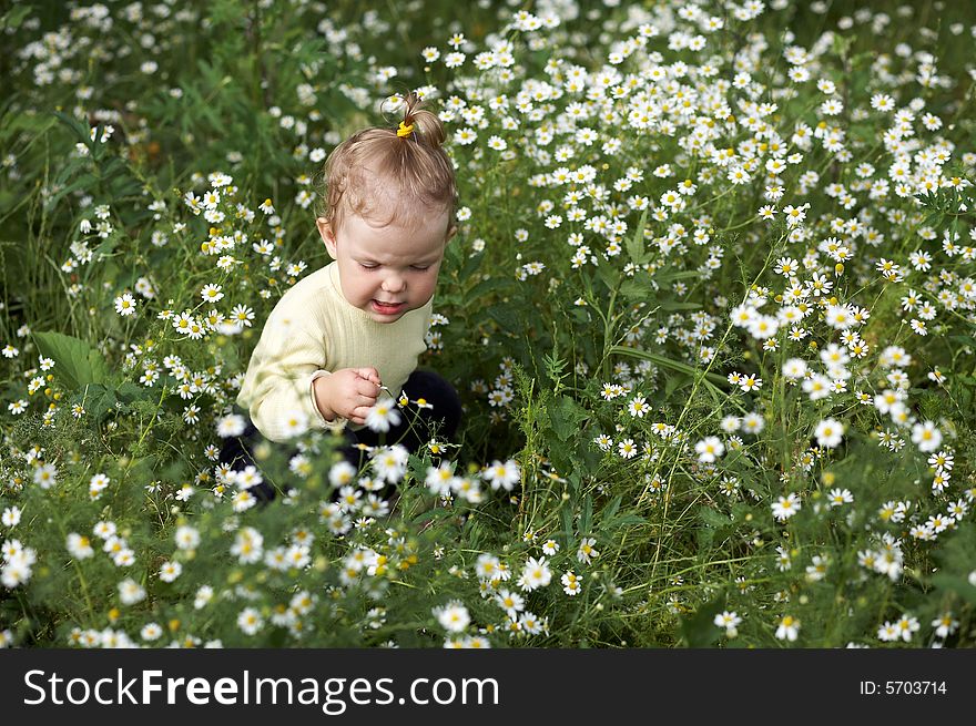 Little girl amongst a field with little white flowers. Little girl amongst a field with little white flowers