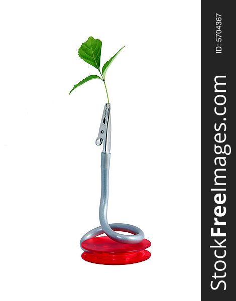 Desk mini-stand with tongs holding a single, green leaf. White background. Desk mini-stand with tongs holding a single, green leaf. White background