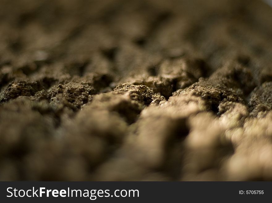 Textured brown tree bark with low focus distance. Textured brown tree bark with low focus distance