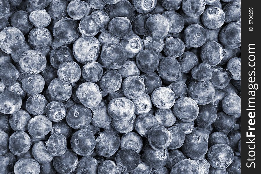 Close-up photo of blueberries