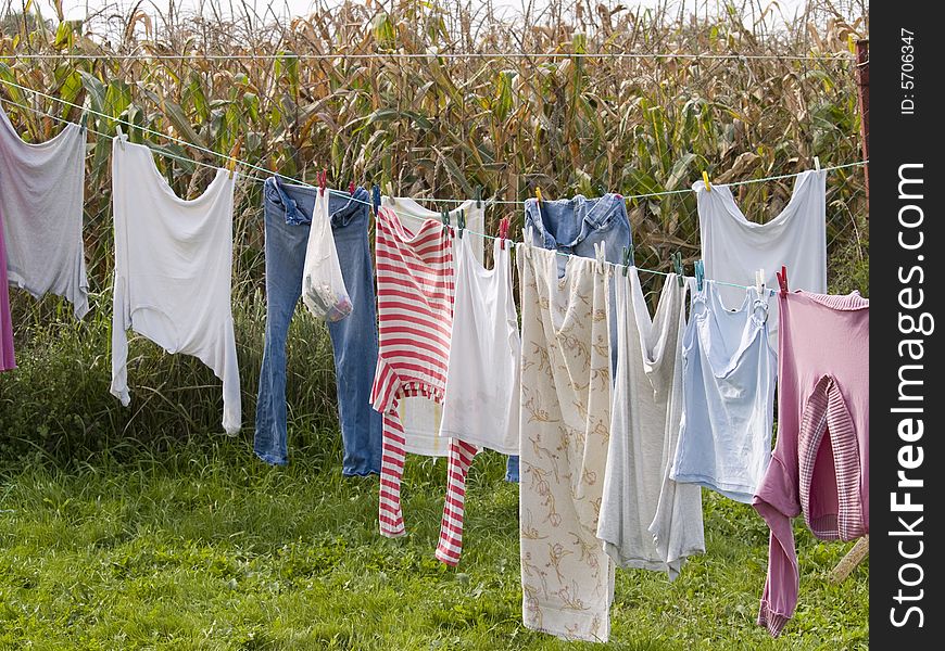 Hunged Laundry is drying at corn fields