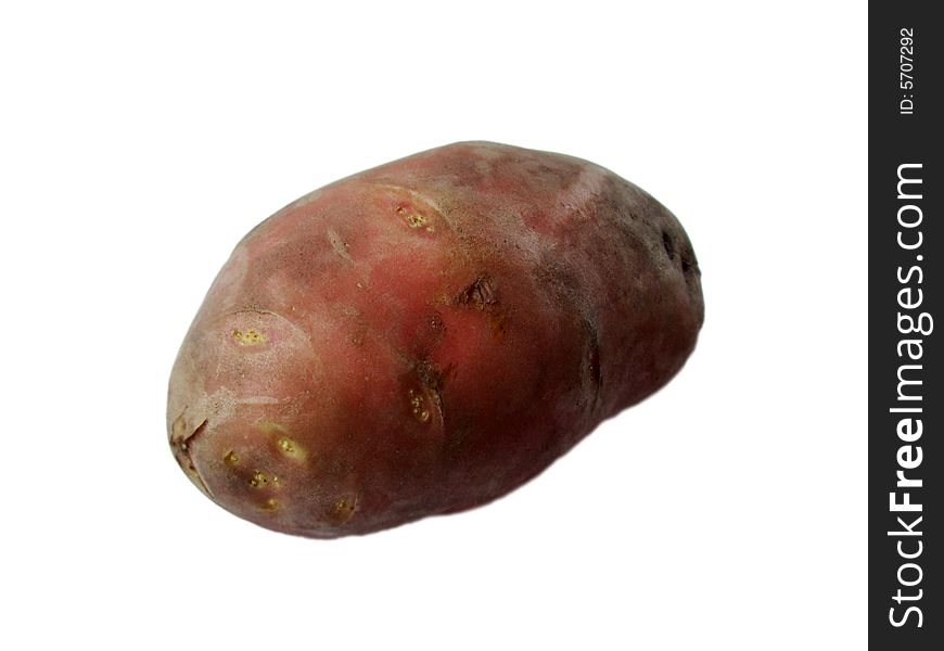 Potato in the white background