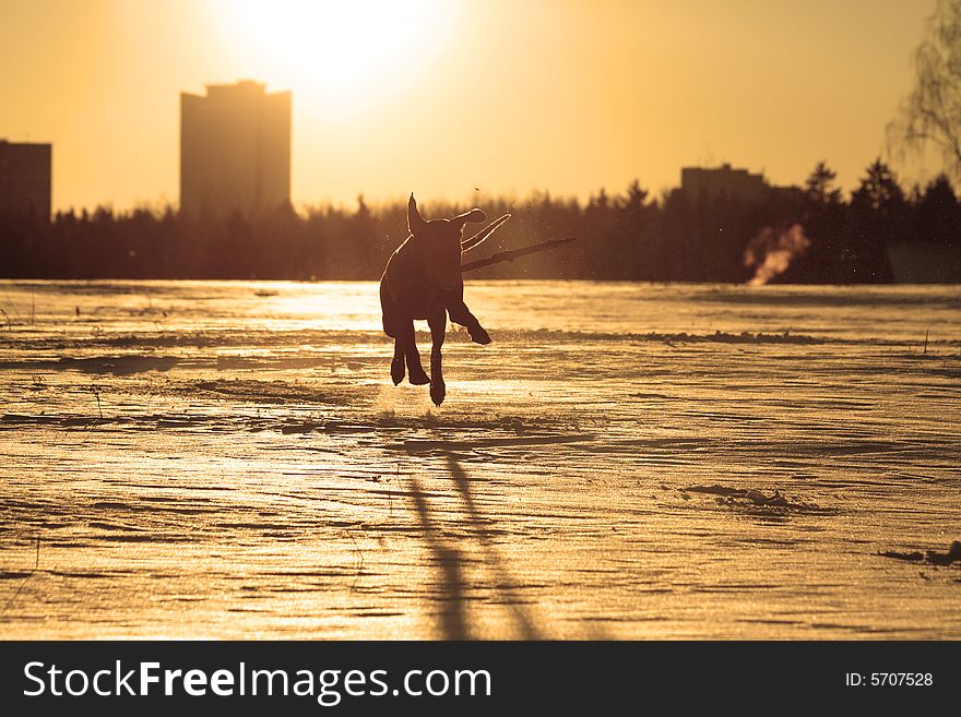 Fly over snow field