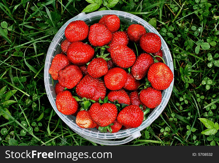 Strawberries On The Background