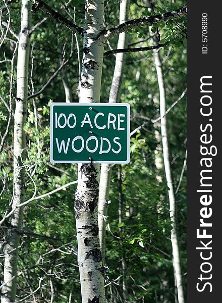 100 Acre Woods sign posted on a birch tree