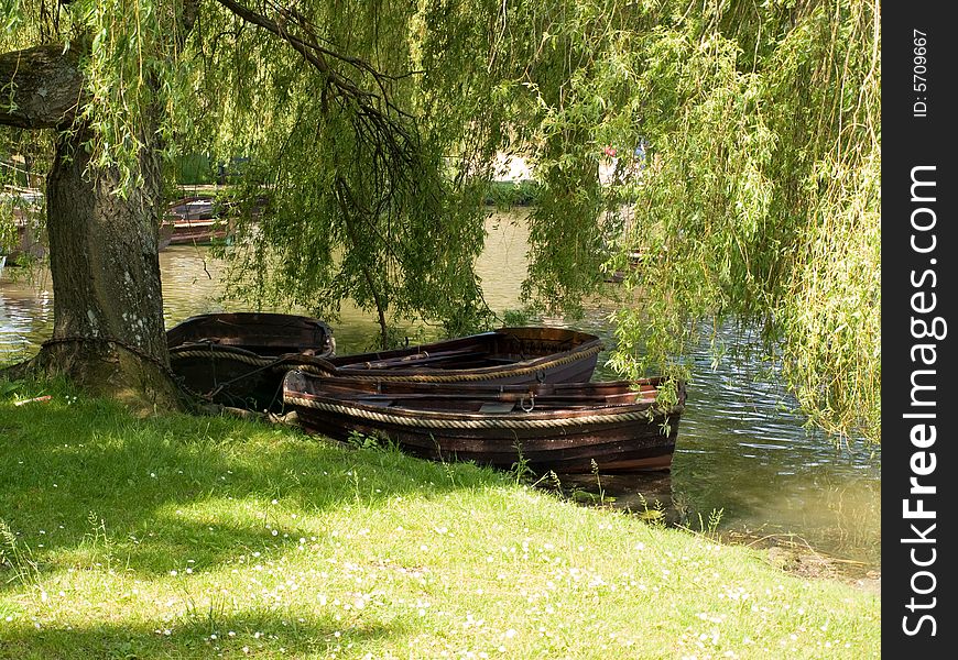 3 rowing boats under a tree