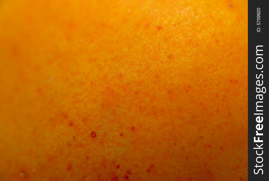 Macro Of Apricot