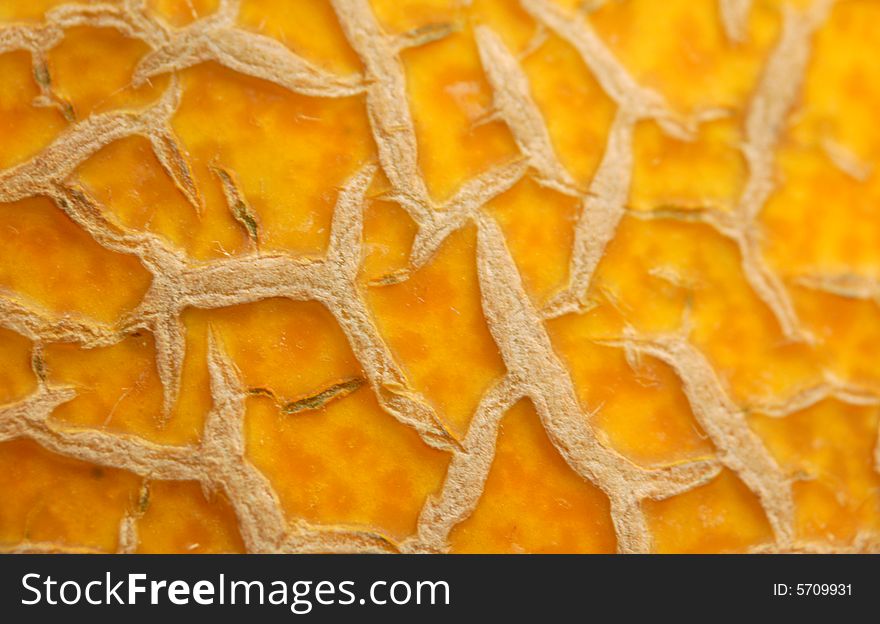 Macro of gold wrinkled melon's surface. Macro of gold wrinkled melon's surface