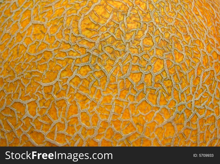 Close-up of gold wrinkled melon's surface. Close-up of gold wrinkled melon's surface