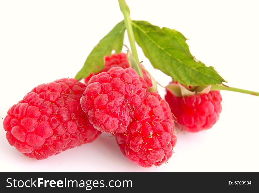 Close-up of raspberry with leaves