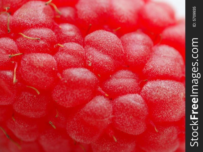Macro of fresh raspberry - summer. Macro of fresh raspberry - summer
