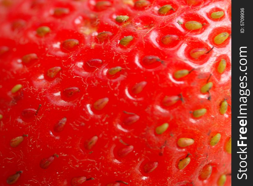 Macro of surfase of fresh strawberry. Macro of surfase of fresh strawberry