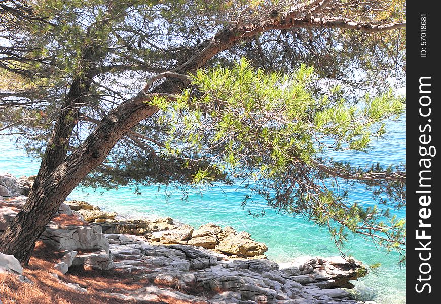 Beautiful water scenery beautiful nature of Croatia. Beautiful water scenery beautiful nature of Croatia