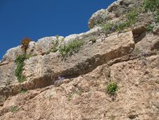 Delphi, Greece - Ancient Walls And Wildflowers Royalty Free Stock Photography Delphi, Greece - Ancient Walls And Wildflowers Royalty Free Stock Photography