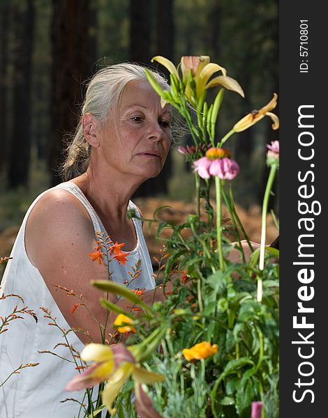 Portrait of attractive senior woman in garden. Portrait of attractive senior woman in garden