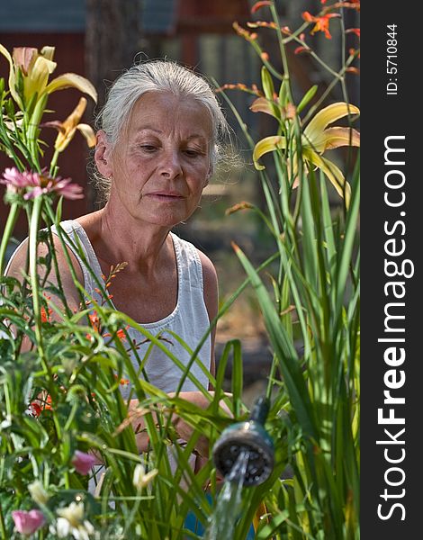 Portrait of attractive senior woman in garden. Portrait of attractive senior woman in garden