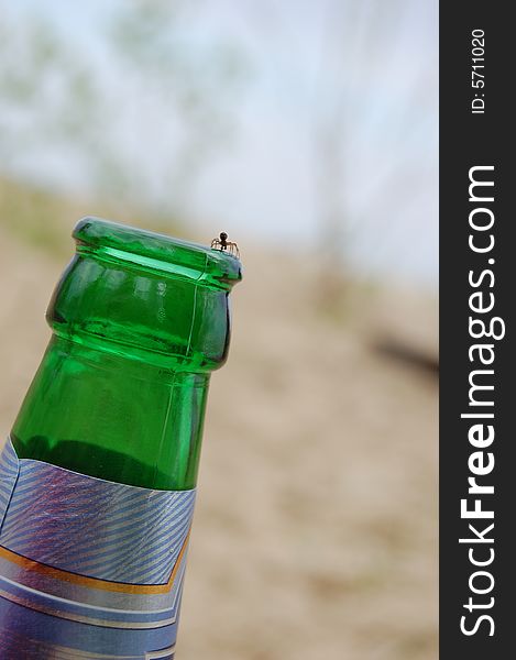 Small spider on a green glass bottle. Small spider on a green glass bottle