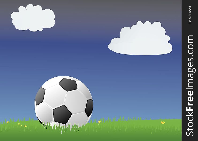 Soccer ball/Football in a green grassy field. Soccer ball/Football in a green grassy field