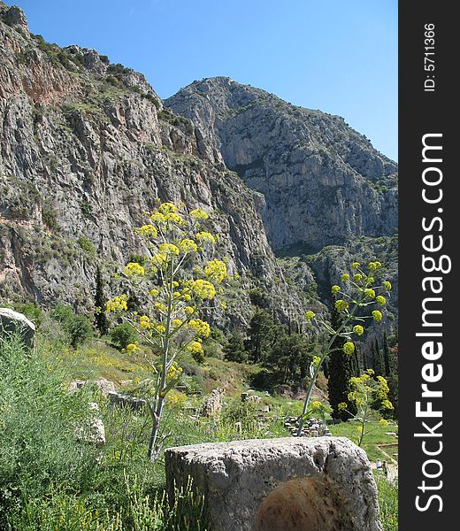 This image of the ancient building stones and wildflowers, backdropped by the mountains at Delphi yields a very nice combination of color and texture. Having existed for thousands of years, this famous place - the center of the universe for the ancient civilization of the Greeks, rests high atop the mountain, near the gulf of Corinth and the Peloponnese in Greece. This image of the ancient building stones and wildflowers, backdropped by the mountains at Delphi yields a very nice combination of color and texture. Having existed for thousands of years, this famous place - the center of the universe for the ancient civilization of the Greeks, rests high atop the mountain, near the gulf of Corinth and the Peloponnese in Greece.