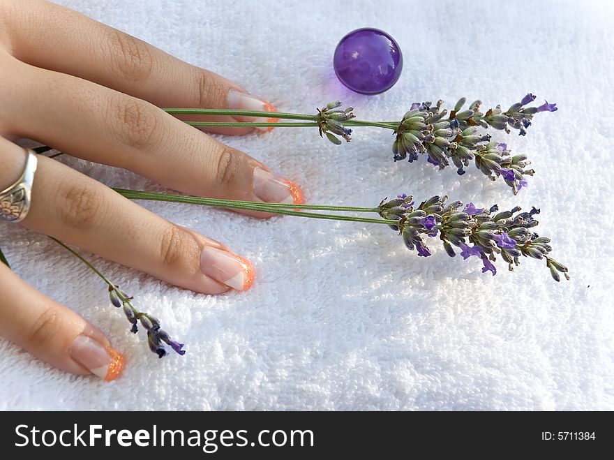Women Hand With Lavender On Th