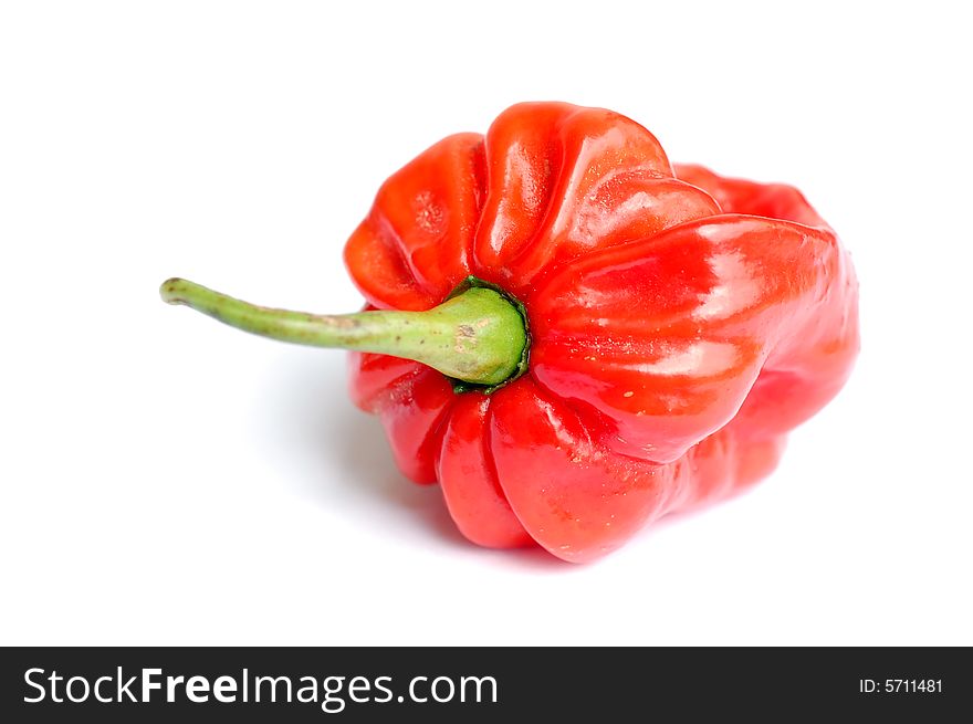 Juicy ripe hot pepper isolated on a white background