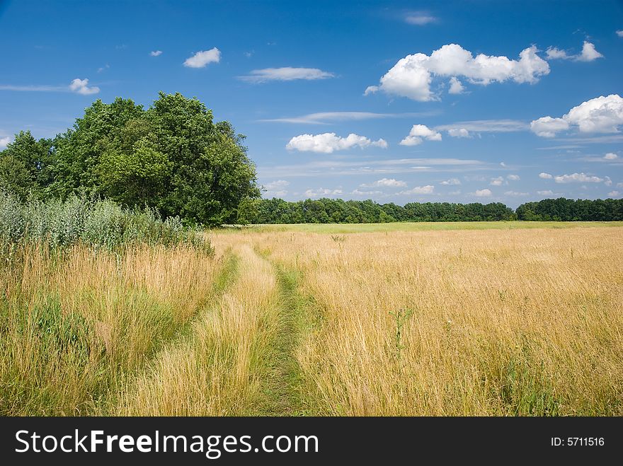 Road in a summer field, the beautiful sky with clouds above. Road in a summer field, the beautiful sky with clouds above
