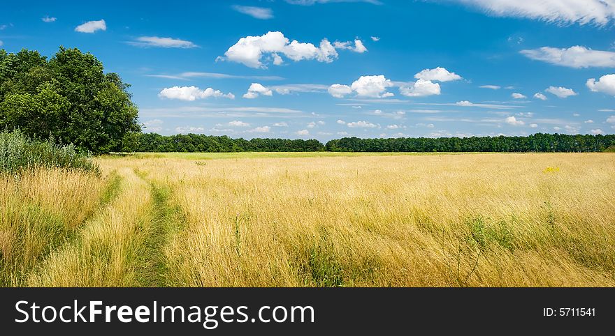 Panorama of road in a summer field, the beautiful sky with clouds above. Panorama of road in a summer field, the beautiful sky with clouds above
