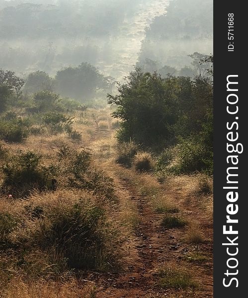 Early morning, an empty dirt road leads up a hill. Early morning, an empty dirt road leads up a hill.