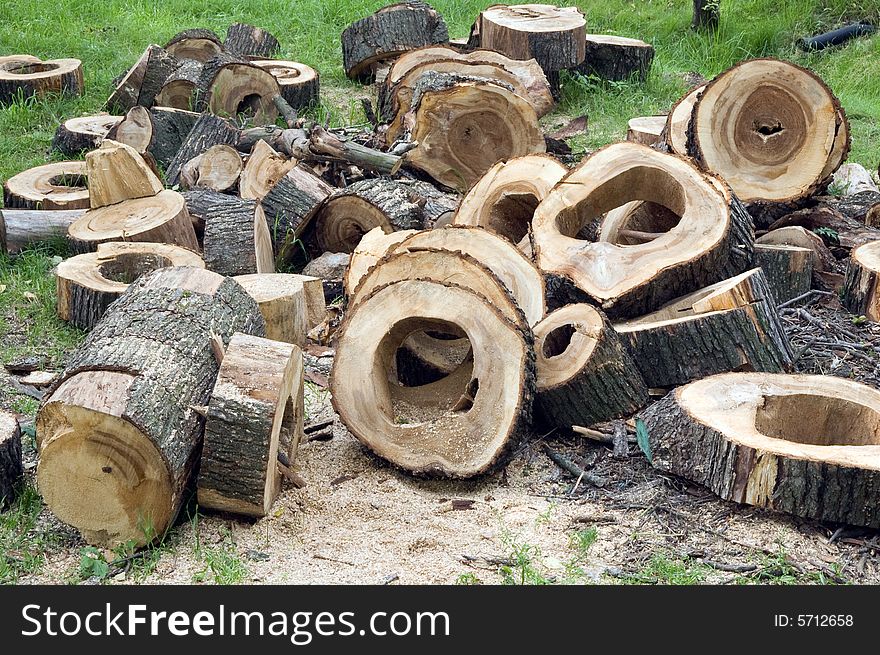 Sawn wood for firewood. Stumps with hollows on the grass