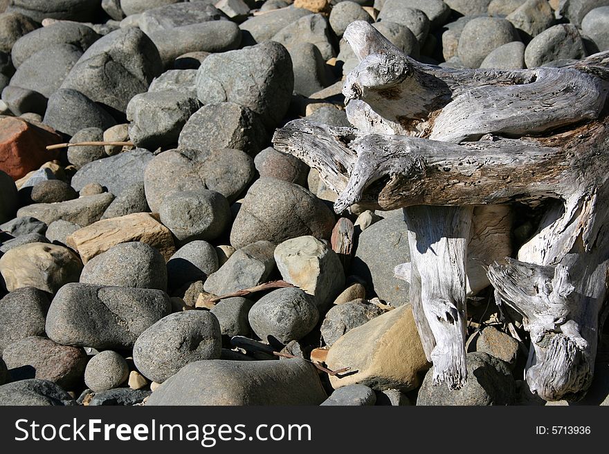 Large Seaside pebbles with a broken piece of tree stump. Large Seaside pebbles with a broken piece of tree stump