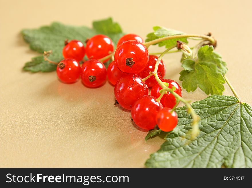 red currant with green leaves on the table