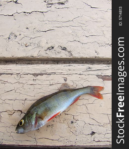 Small fish on a wooden background