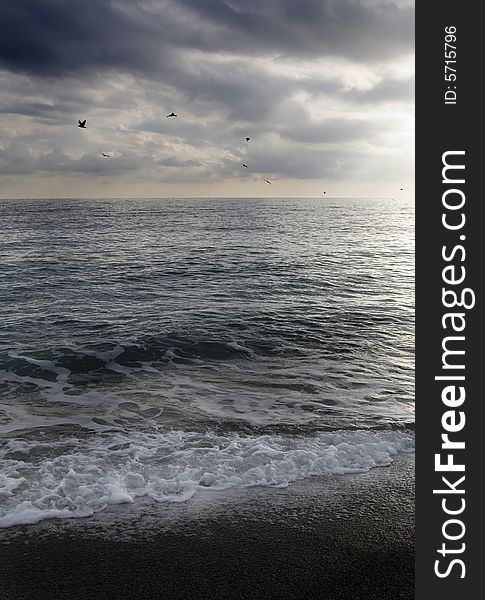 A cloudy sky with sea-cobs on the beach. A cloudy sky with sea-cobs on the beach