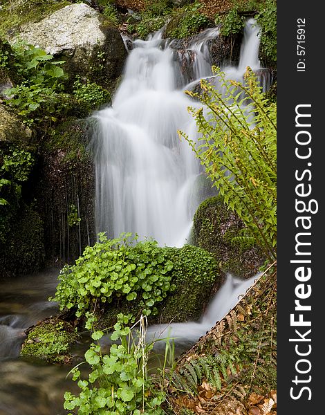 Beautiful waterfall between vegetation and stones