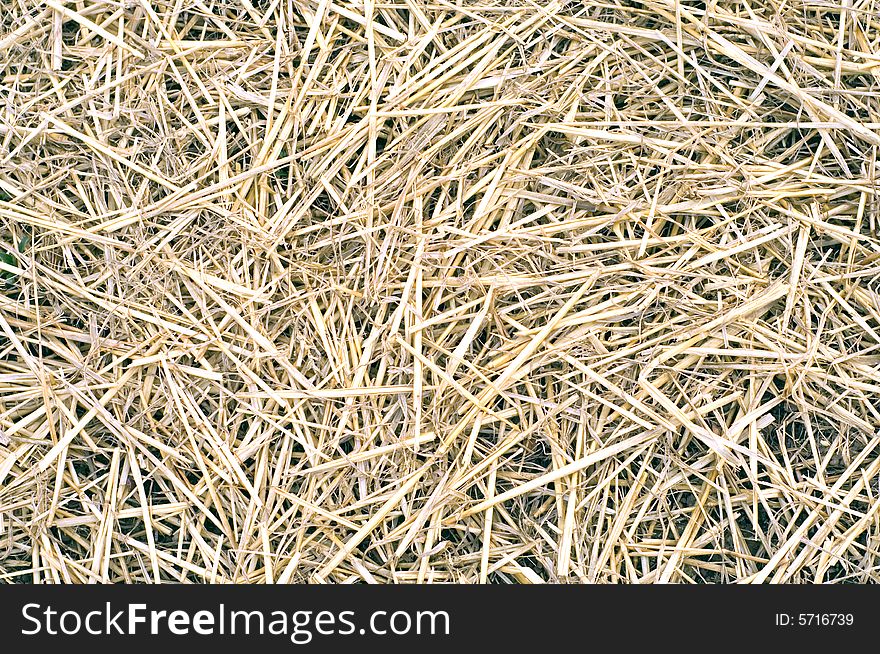 Brown straw can be used as background. Brown straw can be used as background