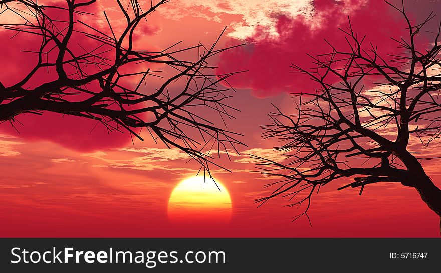 Tree silhouettes  at sunset - digital artwork. Tree silhouettes  at sunset - digital artwork.