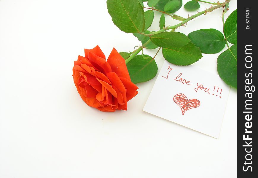 Red rose and love message, isolated over white background, concept of love and romance.
