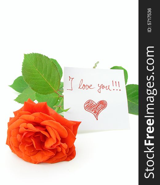 Red rose and love message, isolated over white background, concept of love and romance.