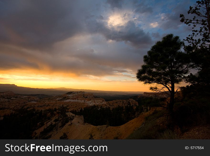 Bryce Canyon Sunrise With Tree Silhouette