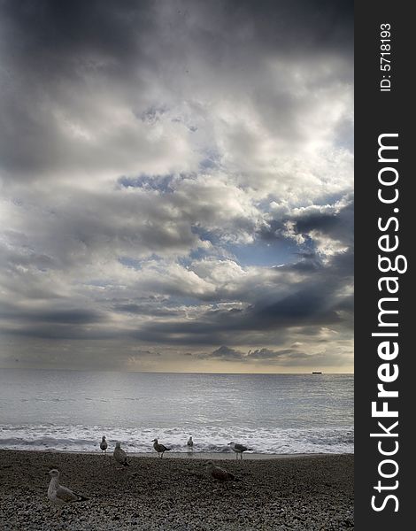 A cloudy sky with sea-cobs on the beach. A cloudy sky with sea-cobs on the beach