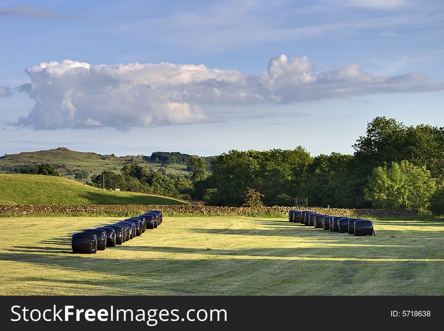 Hay bales near Ings