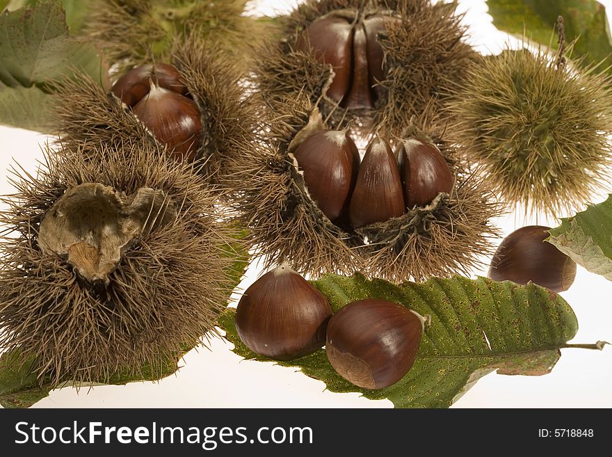 Chestnuts still in their husks with leaves. Chestnuts still in their husks with leaves