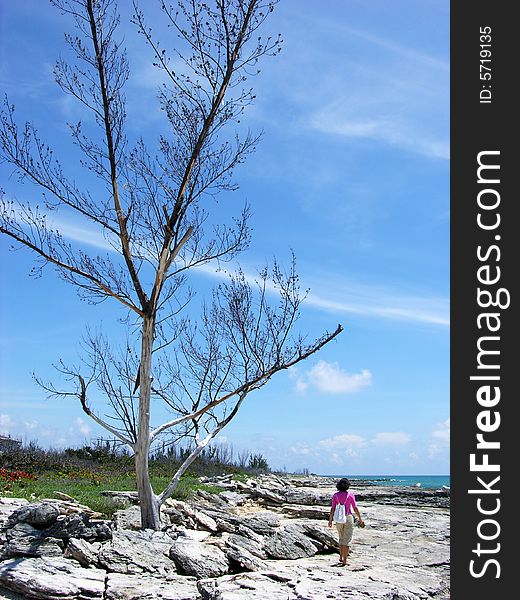 The girl passing by the dried-up tree on a hostile eroded beach in Freeport on Grand Bahama Island, The Bahamas.