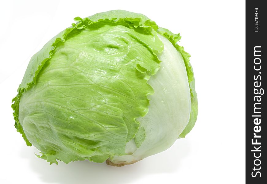 Baby cabbage on white background.