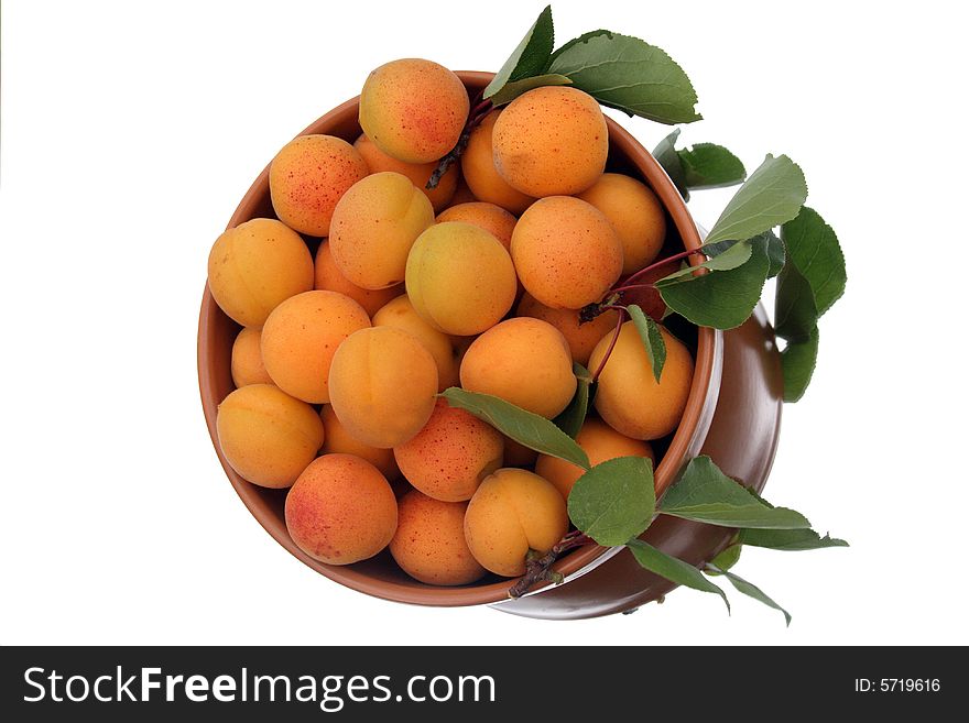 Apricots