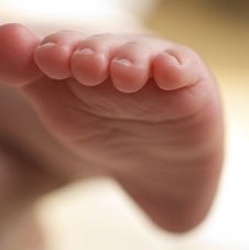 Baby Foot Stock Photography