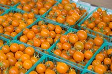 Cherry Tomatoes Stock Images Cherry Tomatoes Stock Images