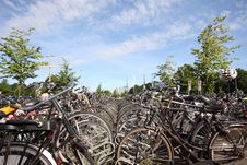 Bikes In The Hague Royalty Free Stock Photos Bikes In The Hague Royalty Free Stock Photos