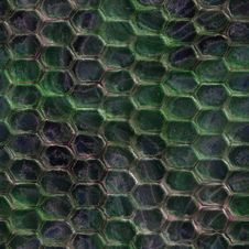 Snake Skin Royalty Free Stock Image Snake Skin Royalty Free Stock Image