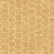 Snake Skin Stock Photo Snake Skin Stock Photo